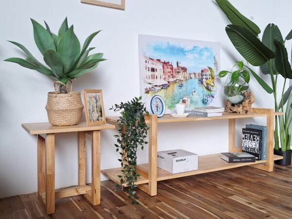 Ella T.V console + Suide table